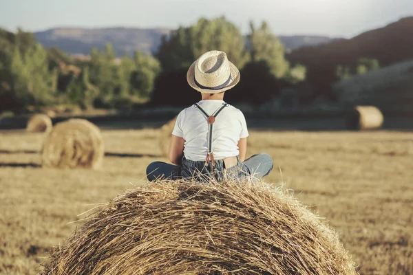 Visão traseira de um menino Pensivo no campo de palha — Fotografia de Stock