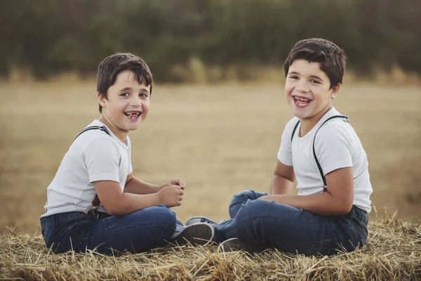 Lyckliga bröder i fältet — Stockfoto