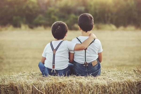Brothers embraced sitting in the field — Stock Photo, Image