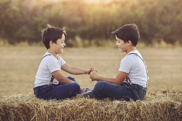 Brothers playing in the field — Stock Photo, Image