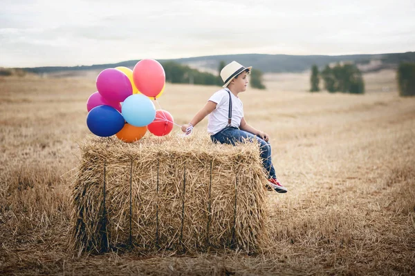 Menino com balões no campo — Fotografia de Stock