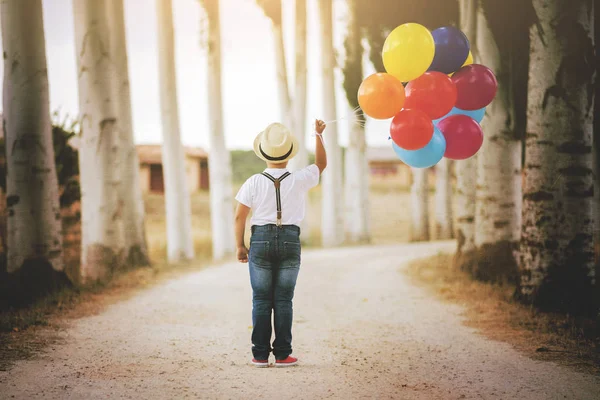 Niño Reflexivo Con Globos Campo —  Fotos de Stock