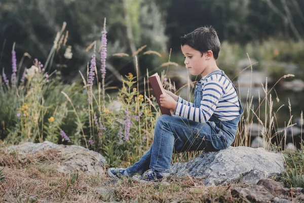 Niño sentado leyendo un libro en el campo —  Fotos de Stock