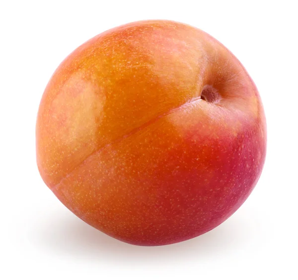 Beyaz arka planda izole Kırmızı Sarı Erik