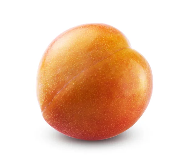 Beyaz arka planda izole Kırmızı Sarı Erik