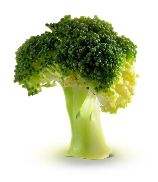 Drzewo świeże brokuły — Zdjęcie stockowe
