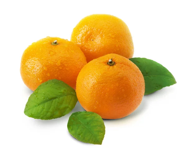 ağaç mandarin. Mandalina. Mandarine