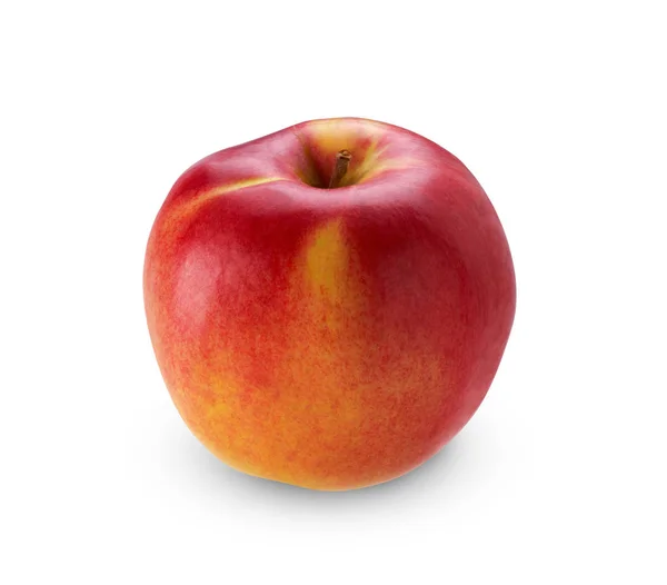 İzole beyaz zemin üzerine kırmızı elma