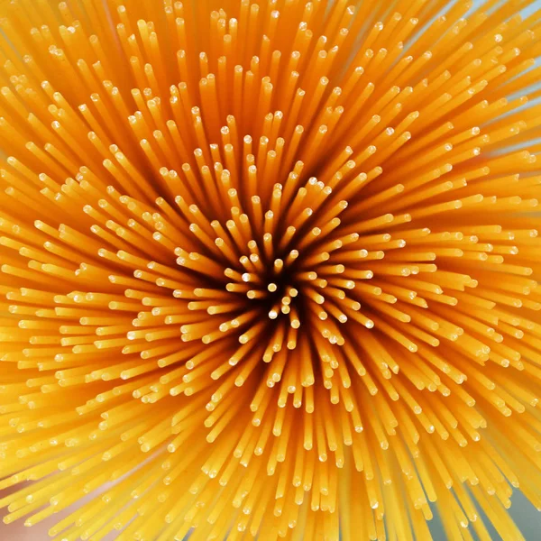 Spagetti kuru sarı arka plan