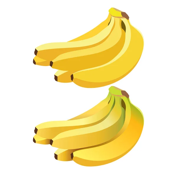 Plátanos vector de racimo — Vector de stock