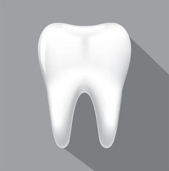 Diş vektör çizim.