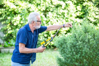 Yaşlı adam bahçedeki ağacı kesti. 