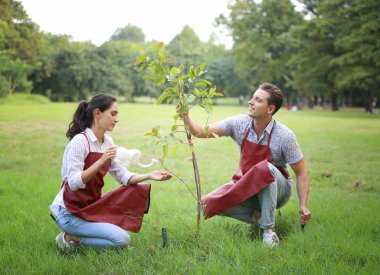 Genç adam ve kadınlar bahçeye ya da çiftliğe ağaç dikiyorlar.