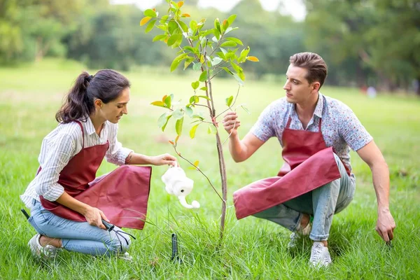 Junge Männer Und Frauen Pflanzen Baum Garten Oder Auf Der — Stockfoto