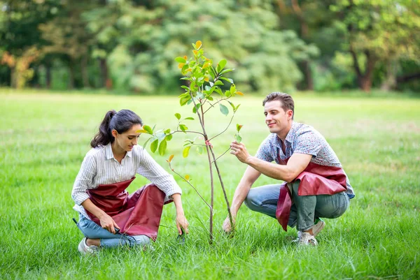 Junge Männer Und Frauen Pflanzen Baum Garten Oder Auf Der — Stockfoto