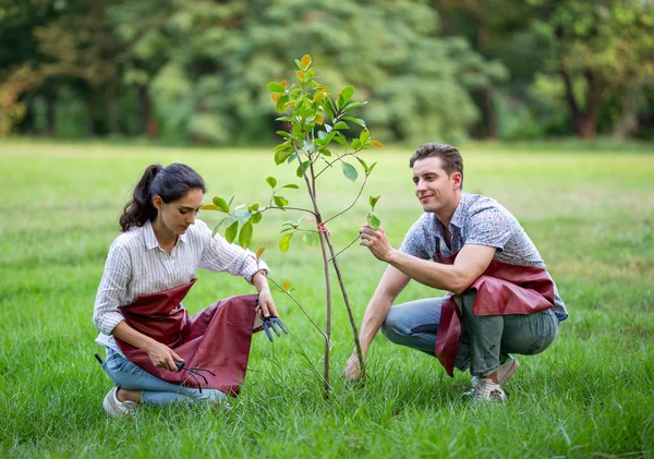 Junge Männer Und Frauen Pflanzen Baum Garten Oder Auf Der — Stockfoto