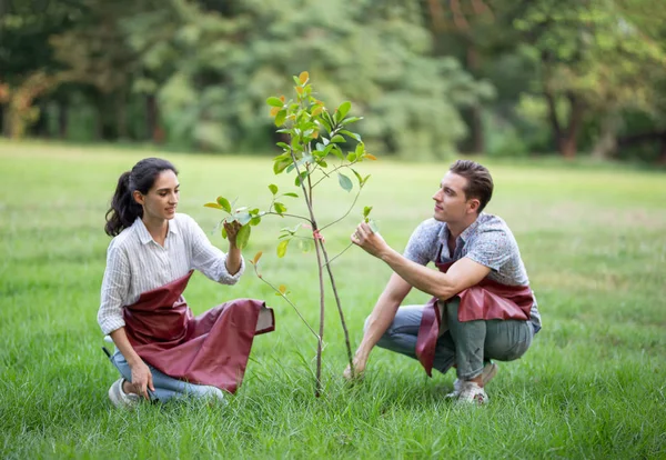 Junge Männer Und Frauen Pflanzen Baum Garten Oder Auf Der — Stockfoto