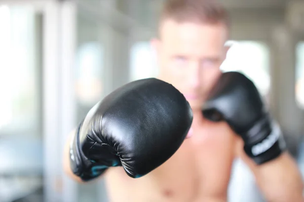 Boxer fighting concept, Hispanic man punching bag in gymnasium ,Young Man Boxing Using Punching Bag In Gym