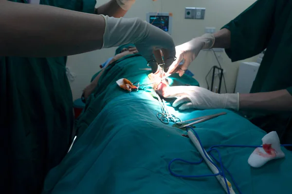 Midsection of surgery team operating Medical Team Performing Sur — Stok fotoğraf