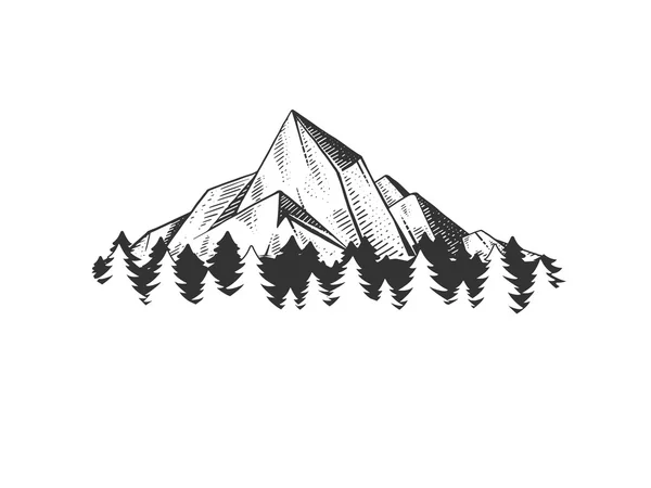 Mountains engraving style vector illustration — Stock Vector