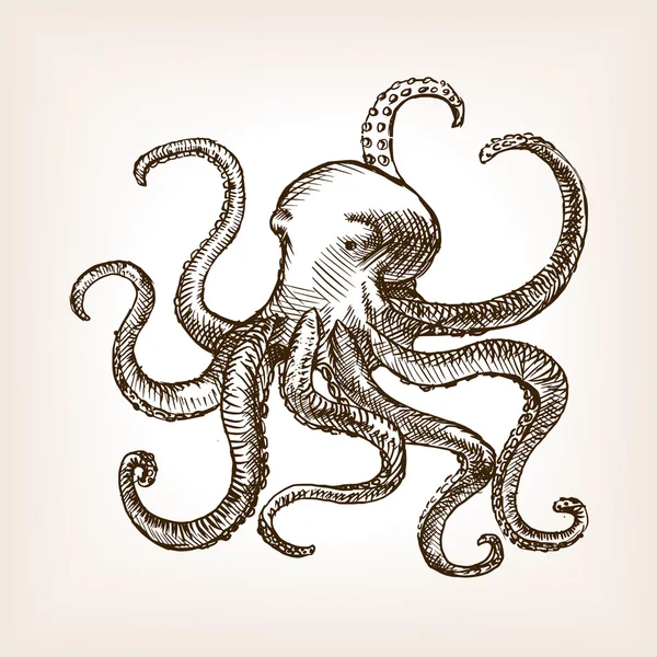 Octopus havet djur skiss vektorillustration — Stock vektor
