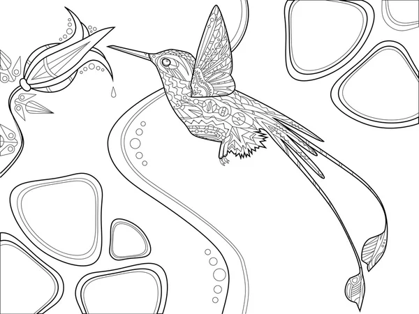 Kolibri färg bok för vuxna vektor — Stock vektor
