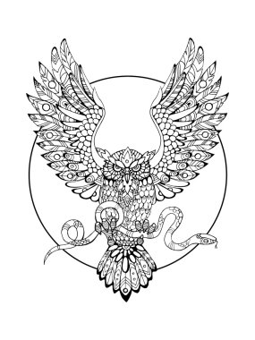 Owl with snake coloring book for adults vector vector