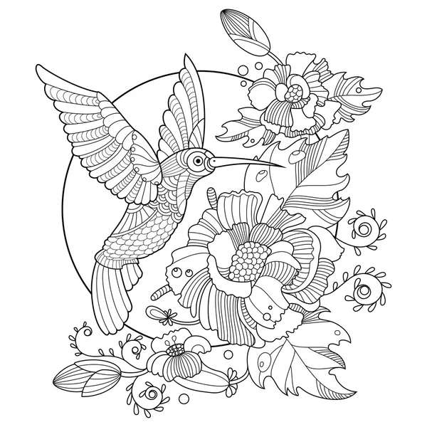 https://st3.depositphotos.com/5891300/12795/v/450/depositphotos_127959484-stock-illustration-hummingbird-coloring-book-for-adults.jpg