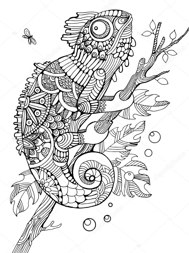 Chameleon coloring book for adults vector
