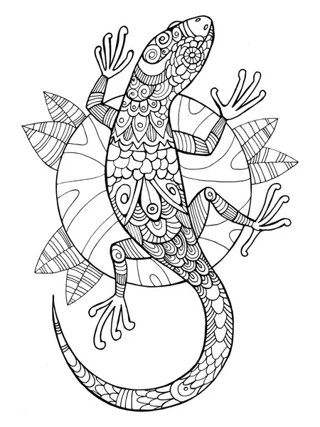 Lagarto libro para colorear para adultos vector — Archivo Imágenes Vectoriales