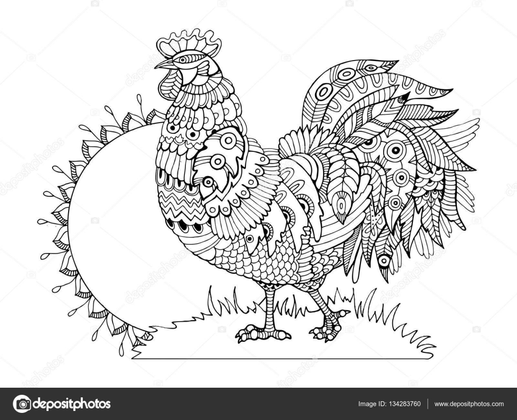 Coq coloriages pour vecteur adultes — Image vectorielle