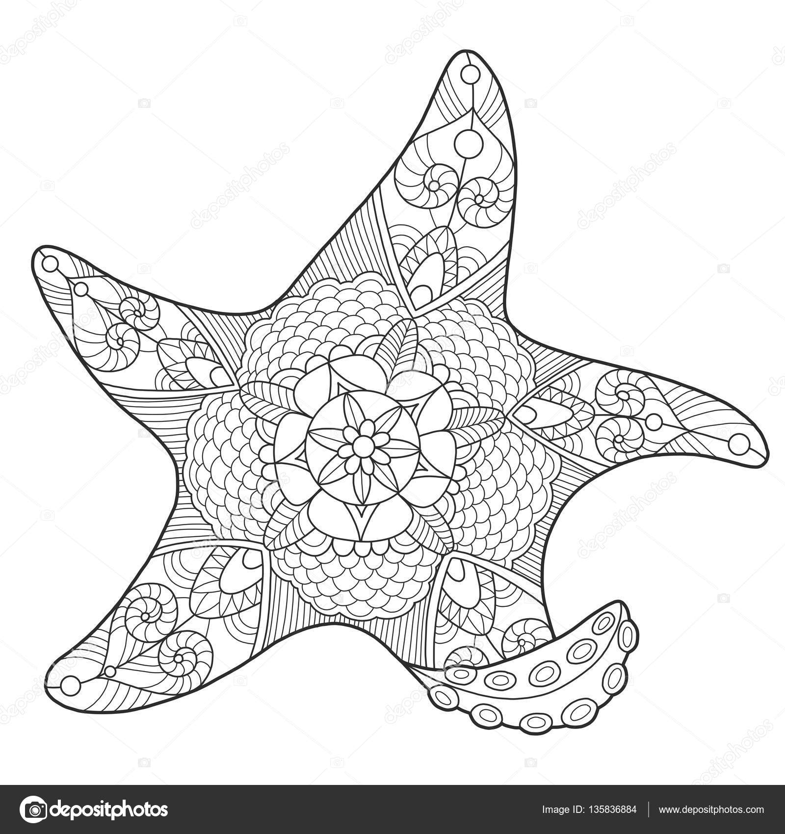 étoile de mer Coloriages pour vecteur adultes — Image vectorielle étoile de mer Coloriages pour adultes vector illustration Anti stress coloriage pour adulte Pochoir de tatouage Zentangle style Lignes noir et blanc