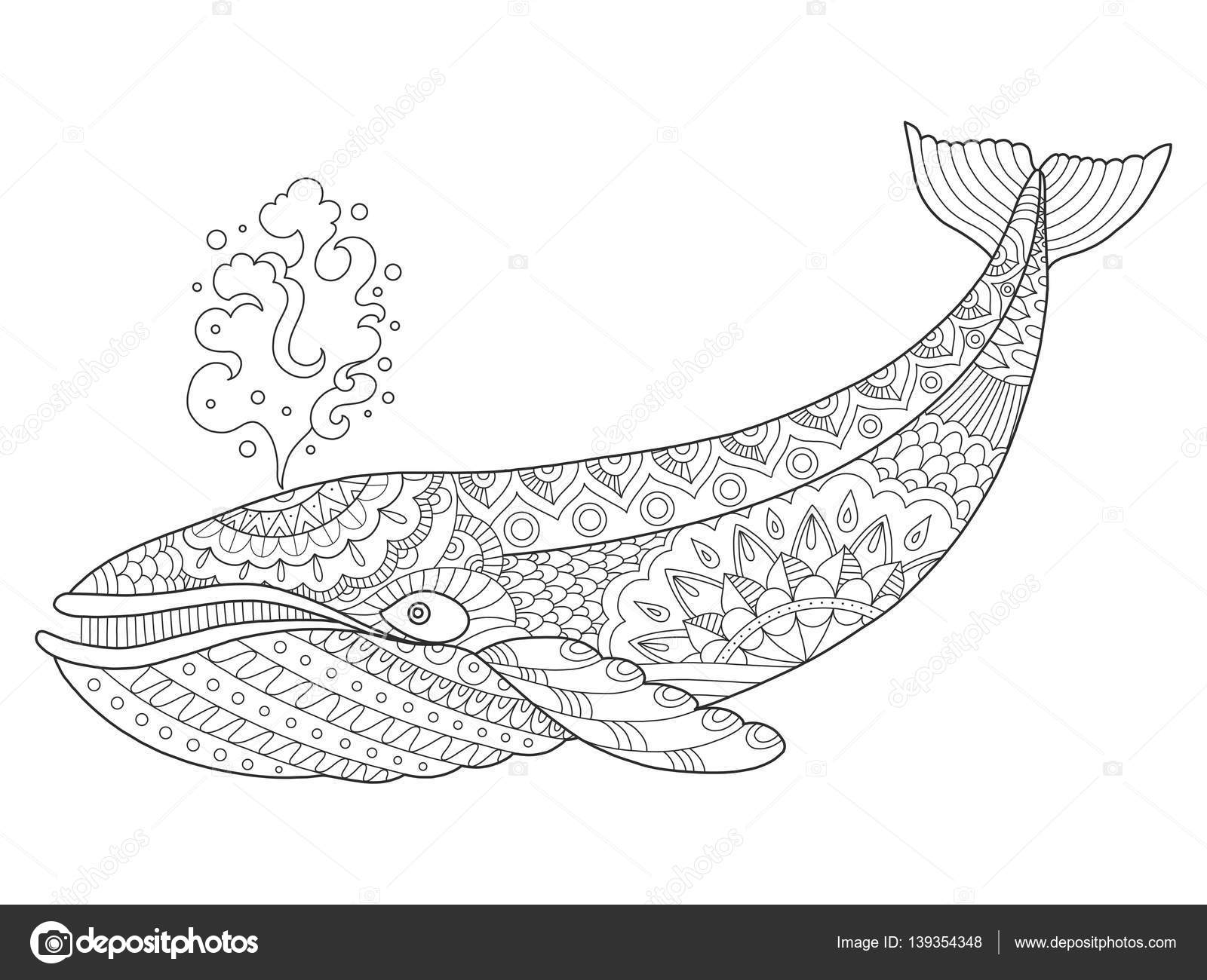 Baleia orca desenho animado colorir livro vetor imagem vetorial de  AlexanderPokusay© 87625310