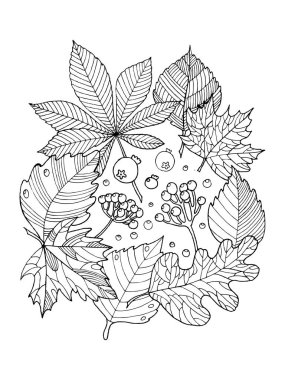 Kitap vektör Illustration boyama ağaç yaprak