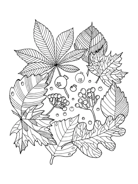 Tree leaves coloring book vector illustration — Stock Vector