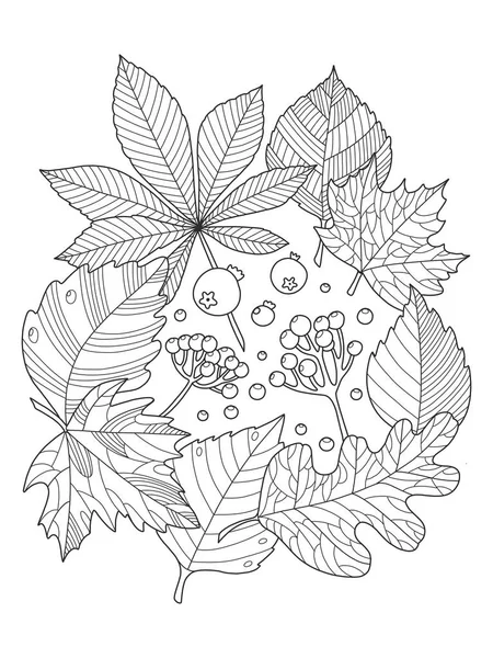 Árbol hojas para colorear libro vector ilustración — Archivo Imágenes Vectoriales