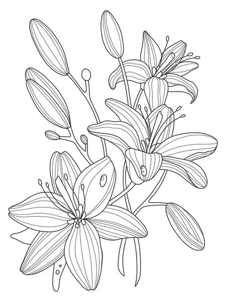 Lily bloemen kleurplaten boek vectorillustratie — Stockvector