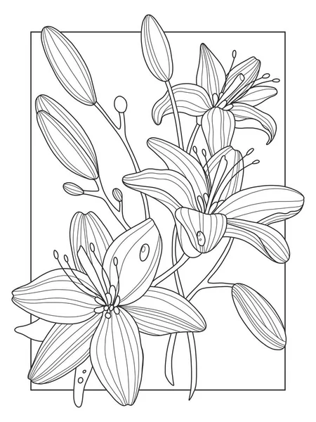 Lily flores para colorear libro vector ilustración — Vector de stock