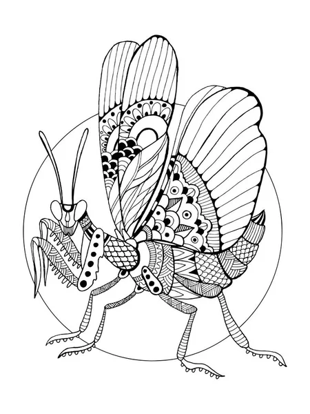 Bidsprinkhaan insect vector boekillustratie kleuren — Stockvector