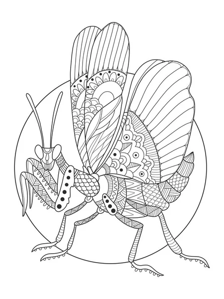 Hmyz kudlanka obarvení kniha vektorové ilustrace — Stockový vektor