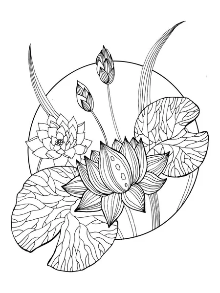 Lotus çiçeği kitap vektör Illustration boyama