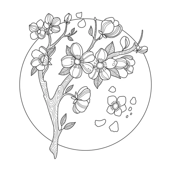 Kiraz çiçeği boyama kitabı illüstrasyon vektör — Stok Vektör