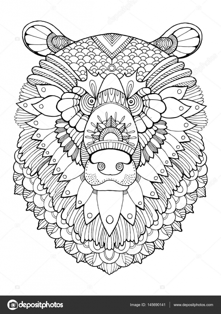 78  Bear Head Coloring Pages  Latest HD