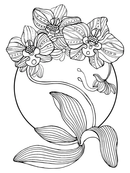 Flores de orquídea para colorear libro vector ilustración — Vector de stock