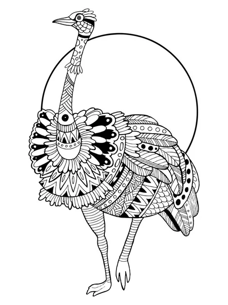 Avestruz pájaro para colorear libro vector ilustración — Archivo Imágenes Vectoriales