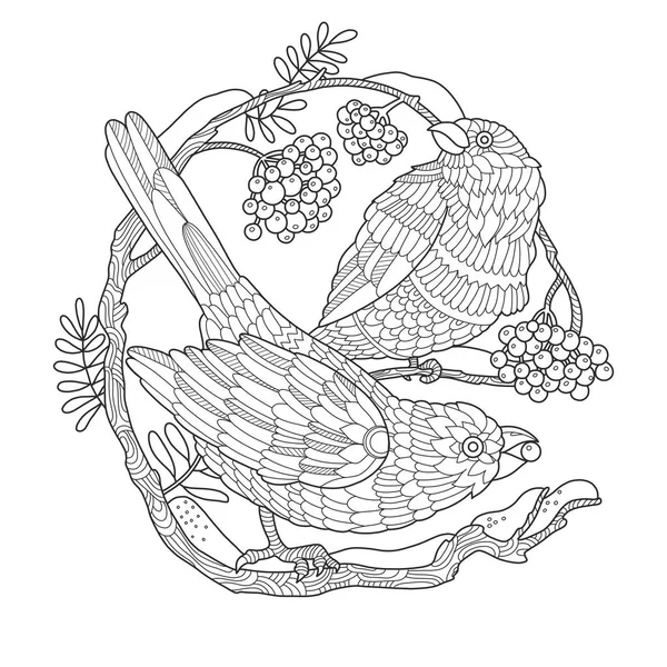 Aves y serbal para colorear libro vector ilustración — Vector de stock