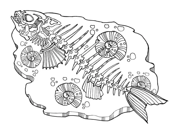 Esqueleto de peixes colorir livro vetor ilustração — Vetor de Stock