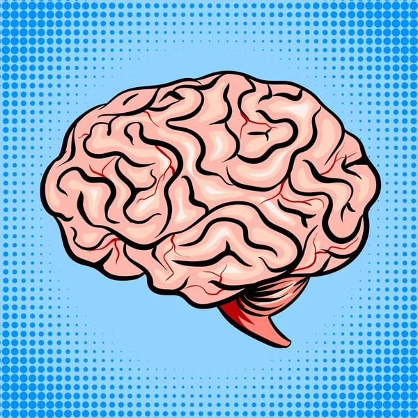 Cerebro humano pop arte estilo vector ilustración — Vector de stock