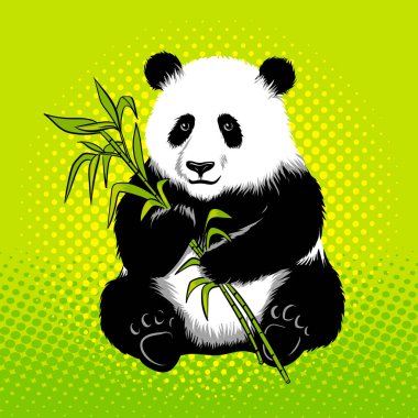 Panda bambu pop sanat stil vektör ile ayı