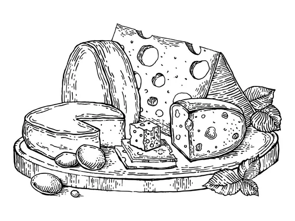 Placa de queso grabado estilo vector ilustración — Archivo Imágenes Vectoriales